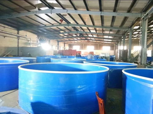 德清新港省級現(xiàn)代農(nóng)業(yè)園區(qū)再次上榜 這次是因為