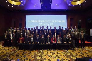 王麗博士出席中國新能源海外發(fā)展聯(lián)盟創(chuàng)立大會 理事 中國與全球化智庫