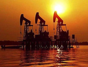 制裁將至 最先認(rèn)輸?shù)牟皇且晾?美松口 中國等8個國家不受約束