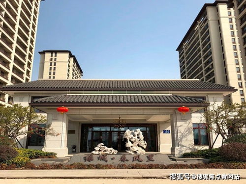 綠城春風(fēng)十里 采光好,日照時間長,可以節(jié)約資源 梅花洲